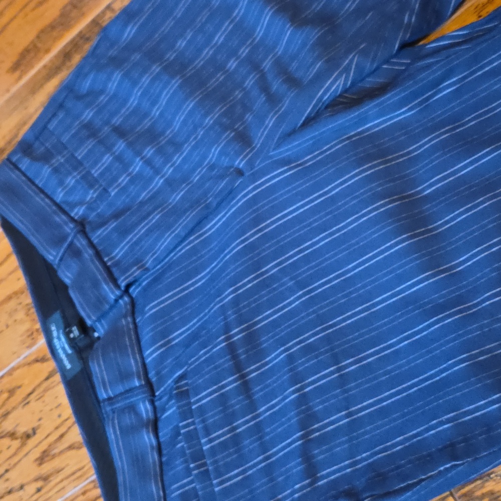 Banana Republic Blue Striped Pants